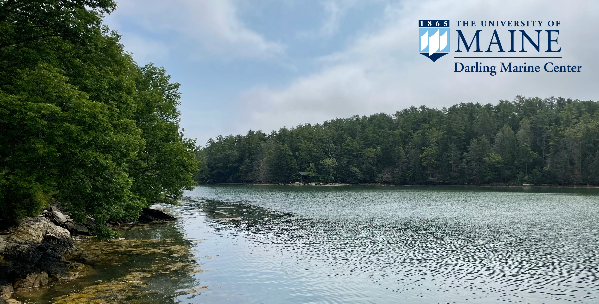 Map University Of Maine Orono